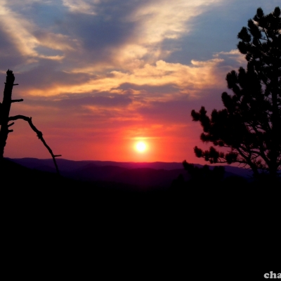 southdakota_needles2.jpg